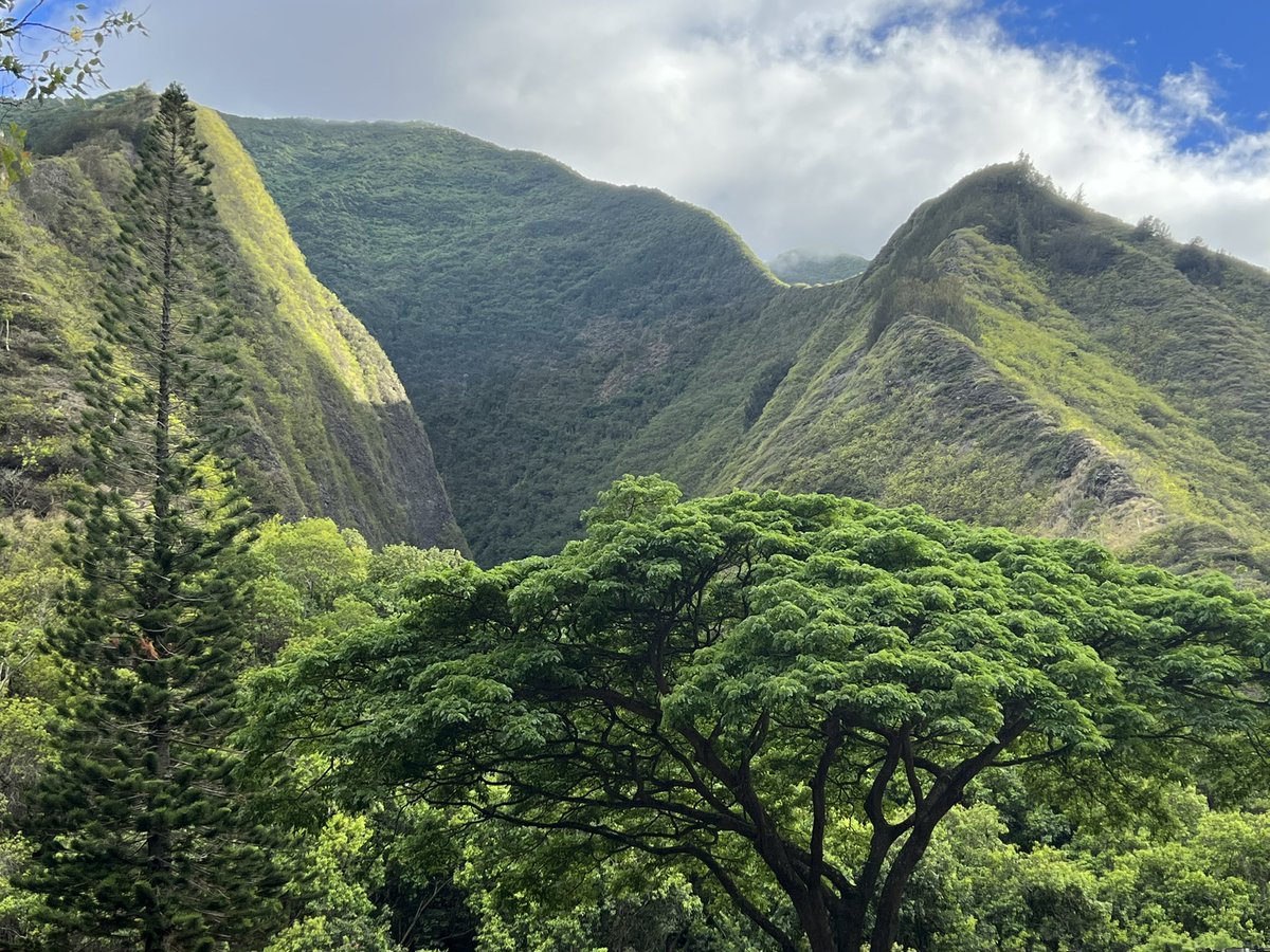 Found this great locals only park <a href="/SiriusSummit/">Sirius Summit</a> #kepaniwaipark