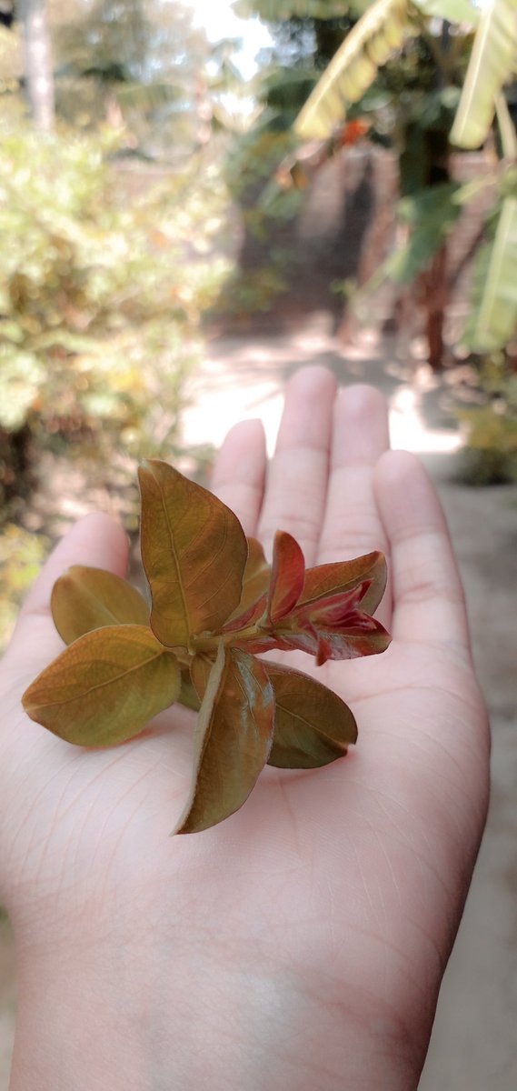 Zain_faathi's tweet image. கடக்க இயலா வலிகளோடு 
கல்லாகி நின்றவளுக்கு கடனாக மேலும் சில வலிகள்

#Fathi✍