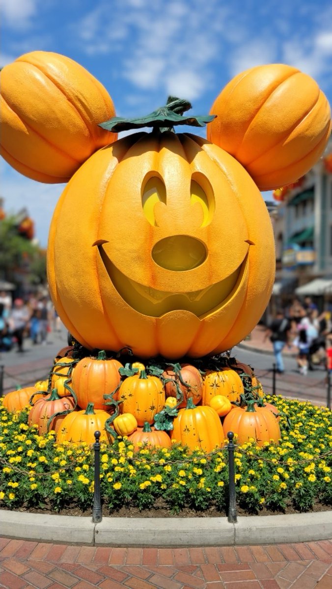 CleverlyCathryn's tweet photo. Mickey pumpkin aka blinky is in the park! #Halloweentime begins September 2nd 🎃 #Disneyland #Pumpkinmickey https://t.co/dFh7Oc49aN