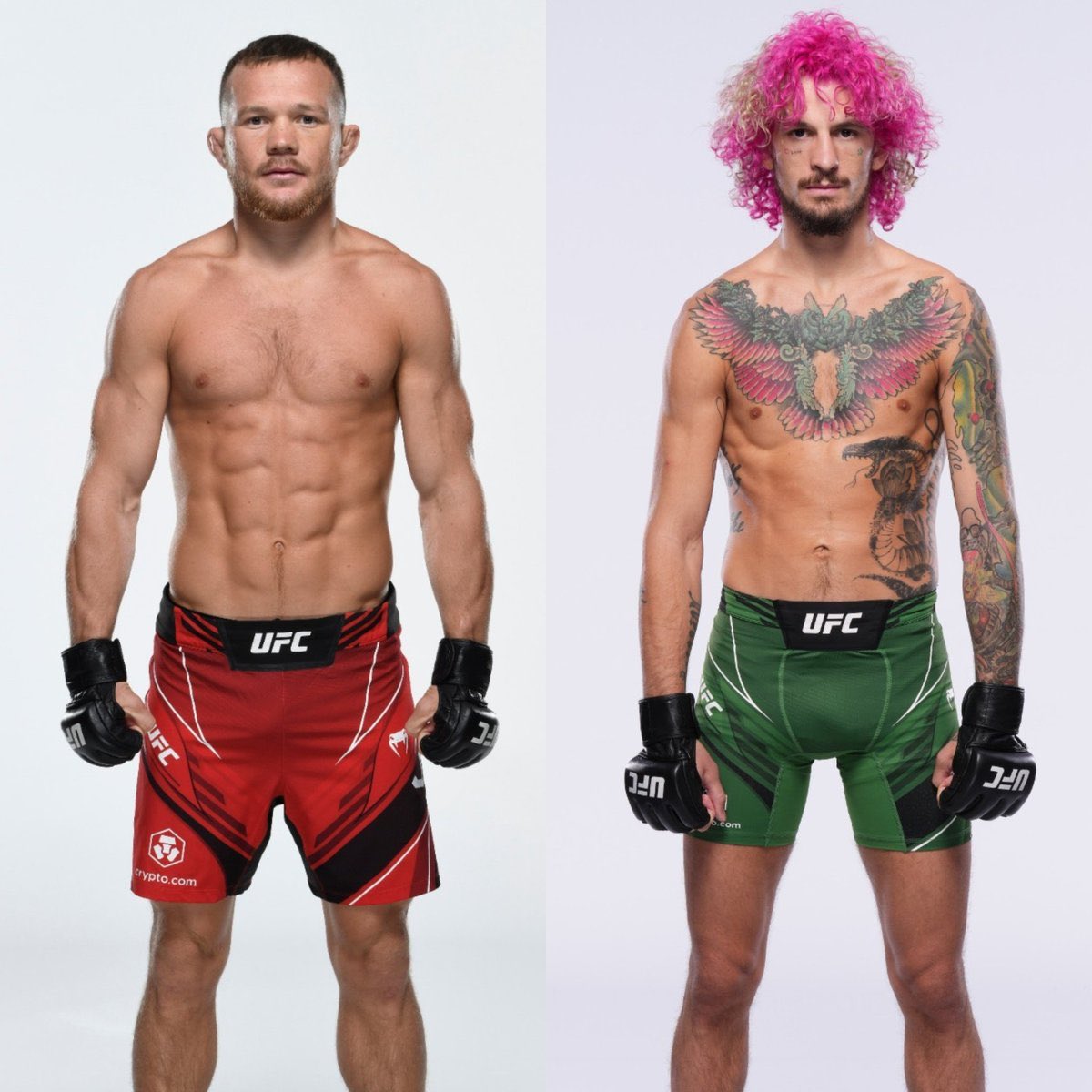 MMA Gone Wild🥋 tweet media