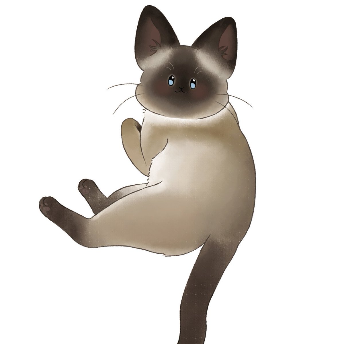 귀여운 샴 삼색이 냥이들
같이있으면 더귀여워💕

#반려동물커미션