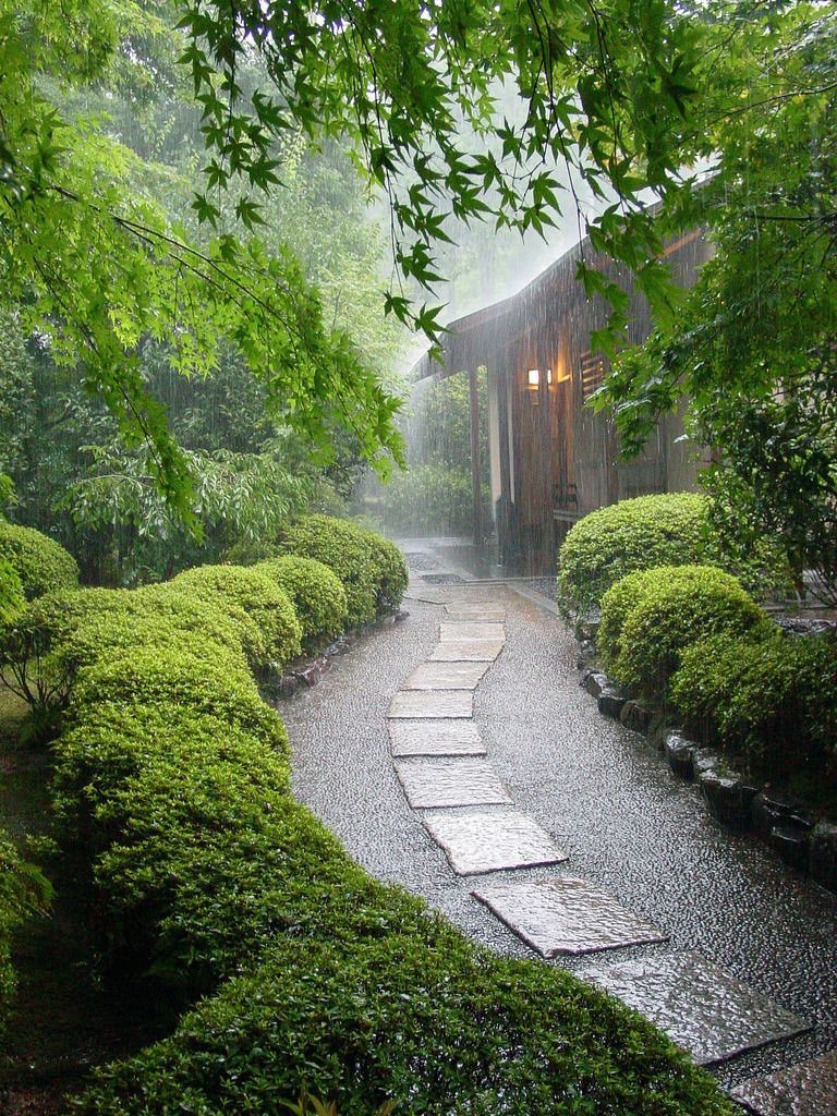 elena7667's tweet photo. Raining https://t.co/mcahl9ONp3