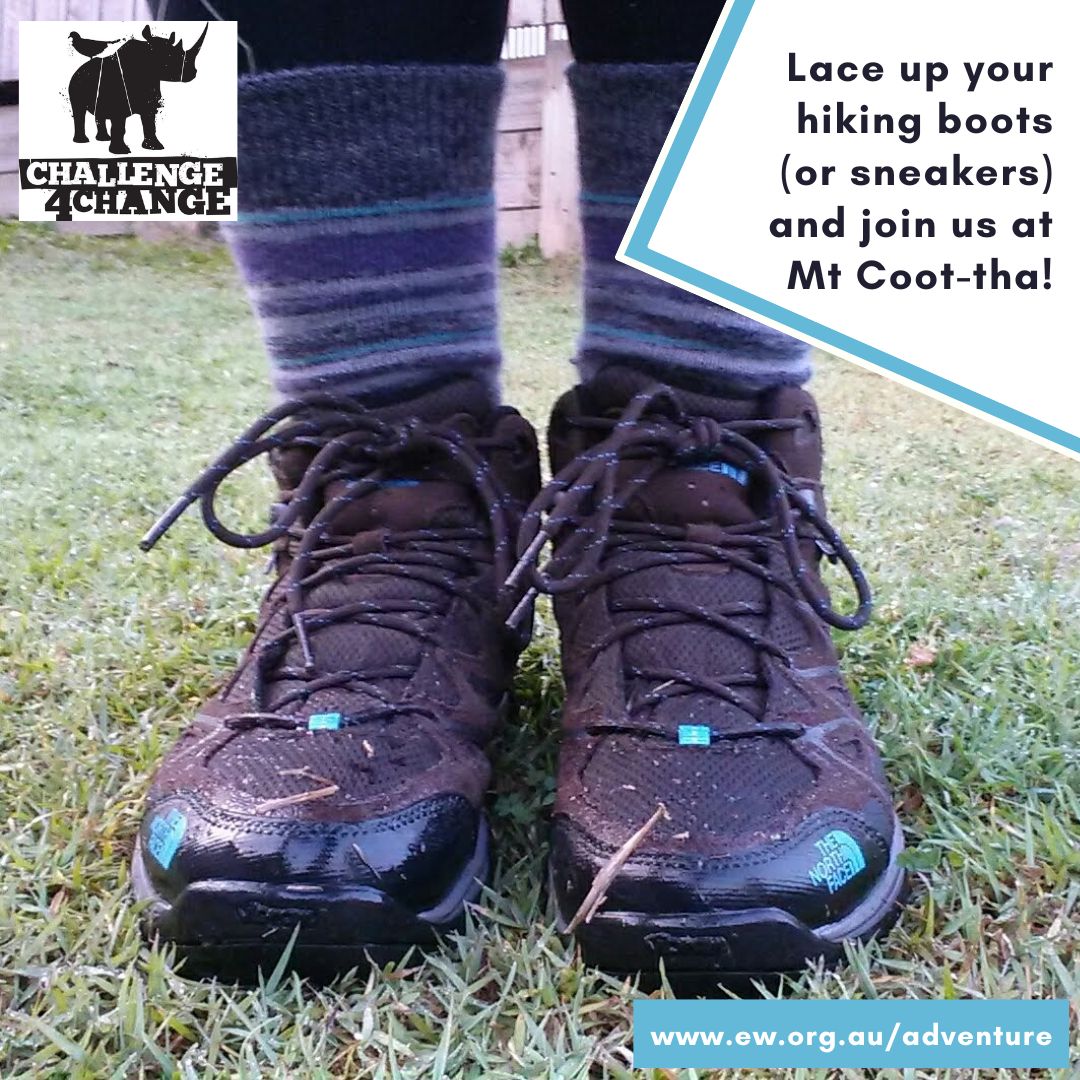 EWAustralia's tweet photo. Time to lace up your boots! - https://t.co/691YTOARRX https://t.co/feSUgfYzTR