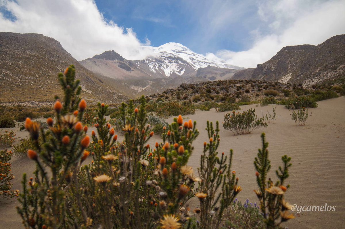 gcamelos's tweet photo. Excursión Fraternal al Templo Machay en el Nevado Chimborazo. El templo es una cueva de material volcánico, considerada sagrada por los Puruhaes, incas y muchas personas en la actualidad. 2/3
#Chimborazo
#Riobamba
#Machay https://t.co/lqTkEwnOJq
