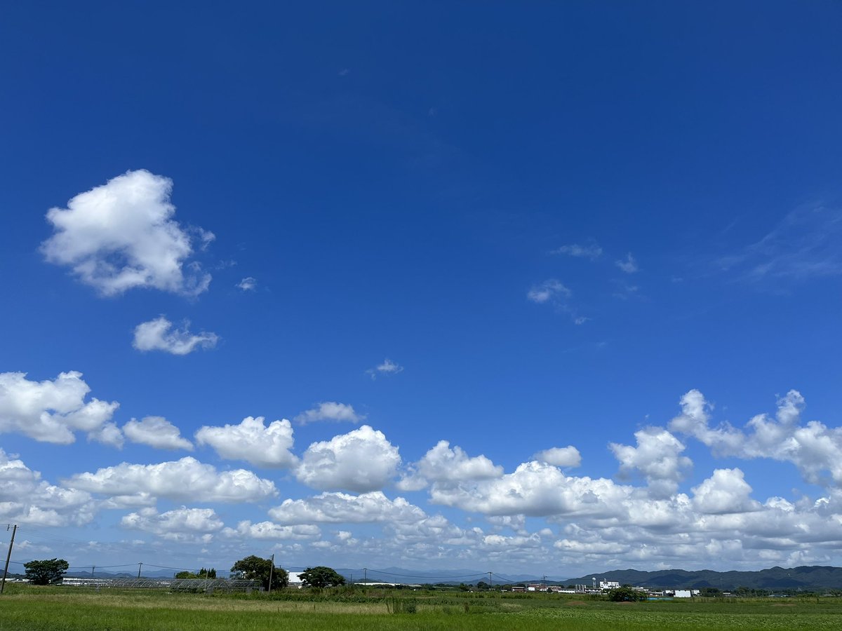 台風来ないといいなー。 それにしても暑い🫠