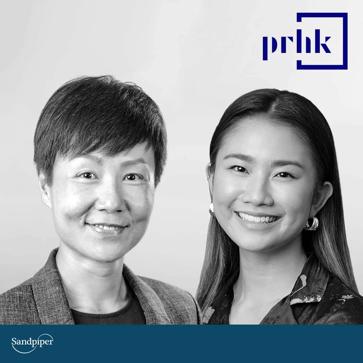 Sandpiper tweet media