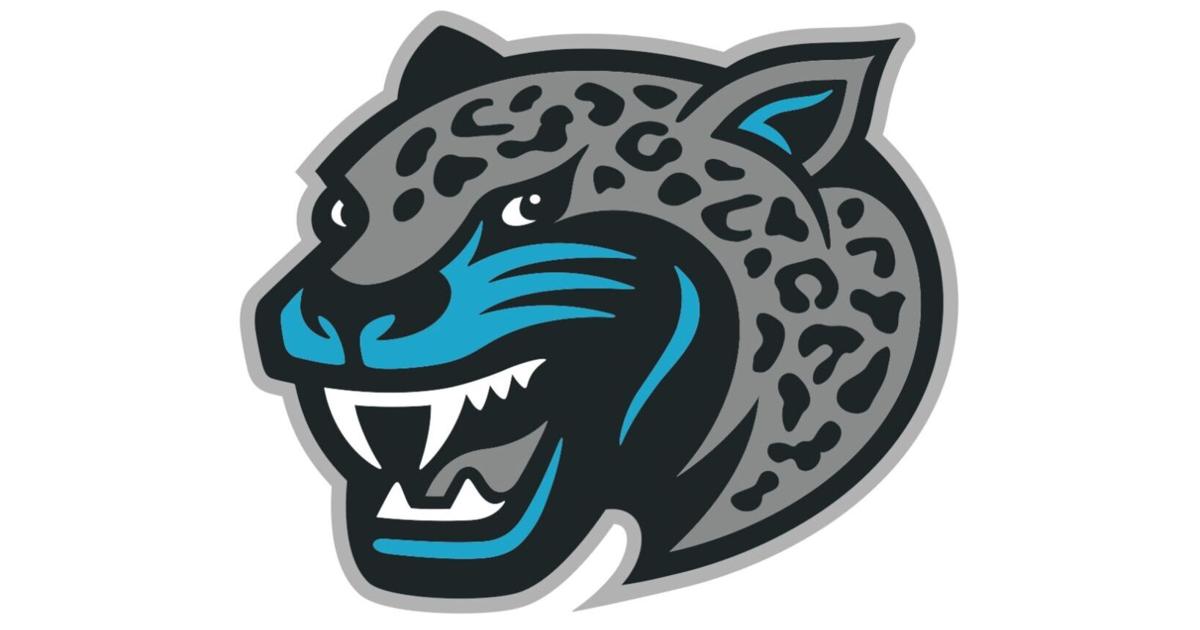 PREP ROUNDUP: Malissa Felbaum shines as Seckinger softball tops Collins Hill bit.ly/3e7b2TW