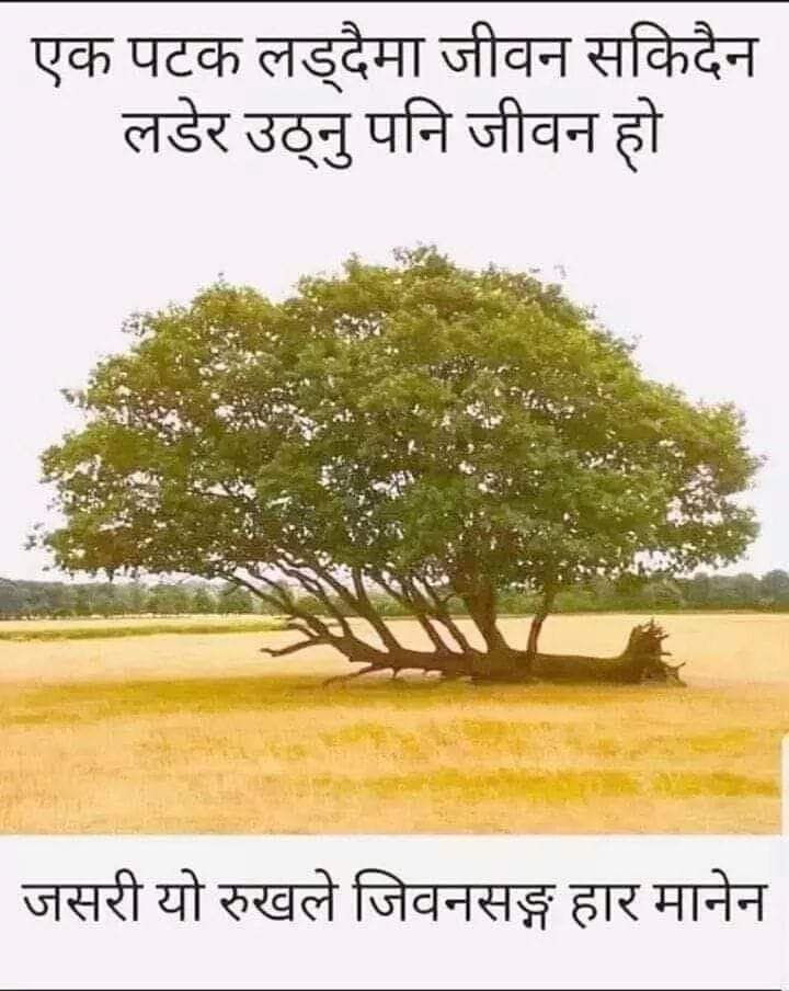 Best of Luck (@bestofluck79) on Twitter photo 