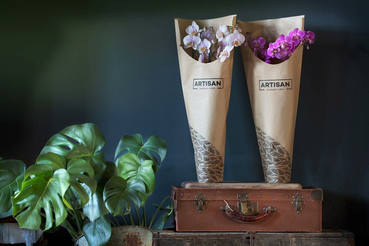 Ben jij op zoek naar een baan op kantoor, in een winkel of in de productie? Bij ons is dit allemaal mogelijk! 

Wij proberen onze klanten blij te maken met onze prachtige orchideeën en produceren jaarlijks 1,8 miljoen orchideeën.🌿 

Onze vacatures: buff.ly/3IKcfvD