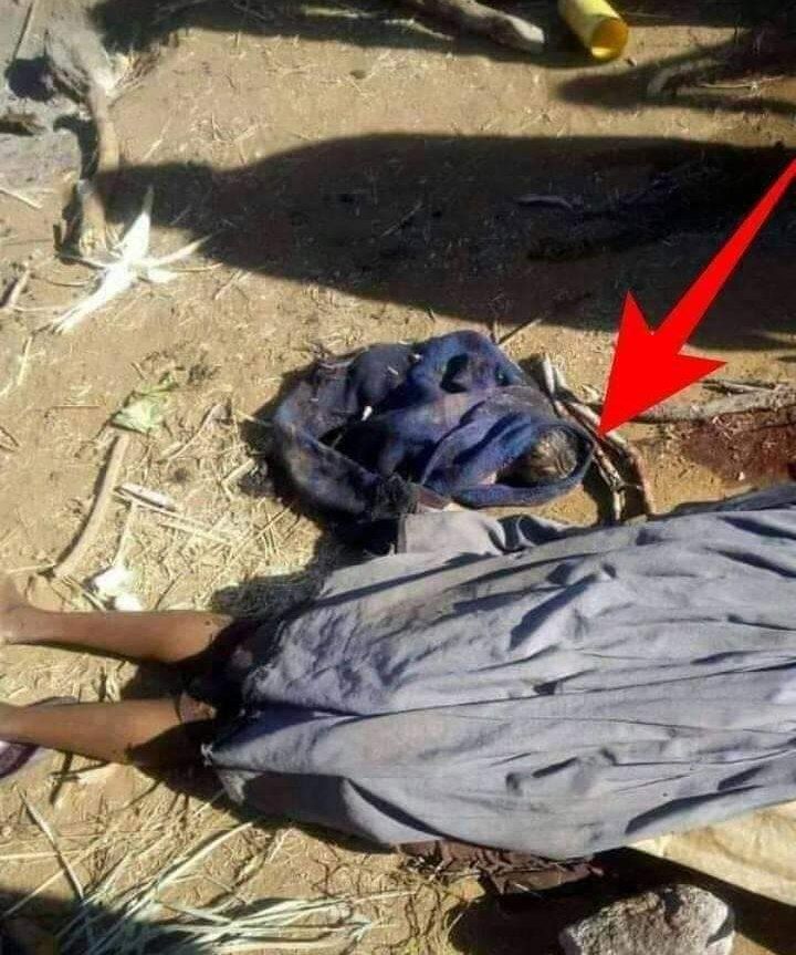 yonas94126220's tweet photo. Residents confirmed that #TPLFTerroris killed dozens of innocent civilians in Kobo town. The bodies of the youths who were killed at Kobo & Robot have not yet been collected" @AlainAmharic @SelassieI24
#WarOnAmhara
#StopWarOnAmhara
#AmharaUnderAttack https://t.co/qw4Njo0e9w