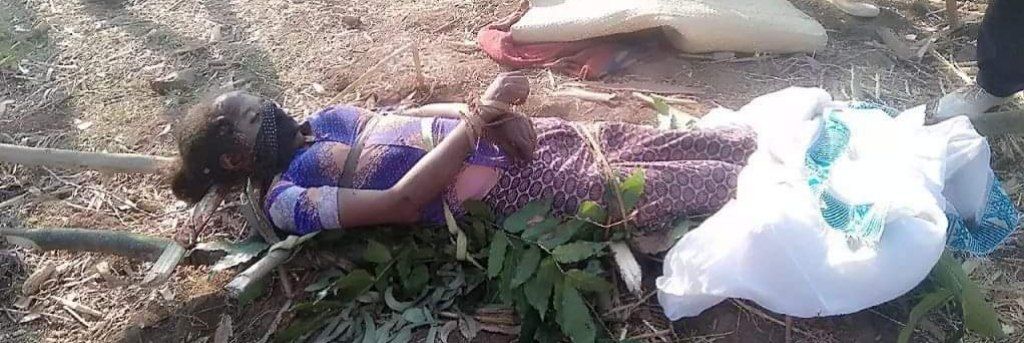 yonas94126220's tweet photo. Residents confirmed that #TPLFTerroris killed dozens of innocent civilians in Kobo town. The bodies of the youths who were killed at Kobo & Robot have not yet been collected" @AlainAmharic @SelassieI24
#WarOnAmhara
#StopWarOnAmhara
#AmharaUnderAttack https://t.co/qw4Njo0e9w