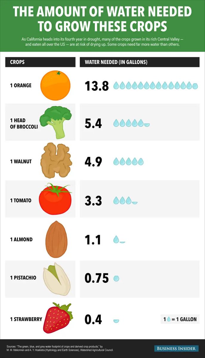 FructoseNo's tweet photo. Just a little reminder that it takes about 5 litres of water to produce ONE almond!
Apparently California can do it with 3.5 litres.
Makes #InnocentCows seem quite efficient when they pee green water back into the ground. https://t.co/YHN4sOI4BS https://t.co/fzUHLEoWvs