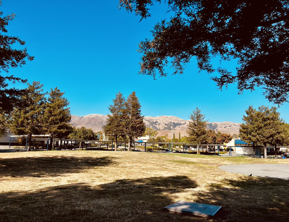 MsKristenPorter's tweet photo. This view from our school quad still has me amazed that I live &amp; teach in California! And so, the adventure continues! ☀️🍎👩🏼‍🏫 #year9 #teachertwitter #california https://t.co/nZYNR368Qe
