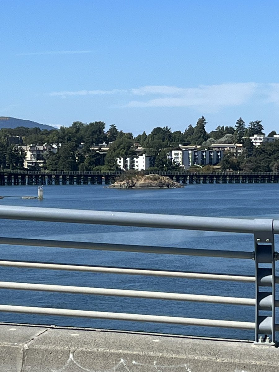 VicBayBridge's tweet photo. Late August in Victoria. Warm days filled with swatting wasps and small game hunting fruit flies. https://t.co/keXnct9LWw