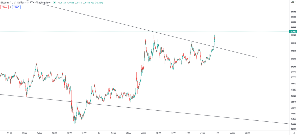 K A L E O tweet media