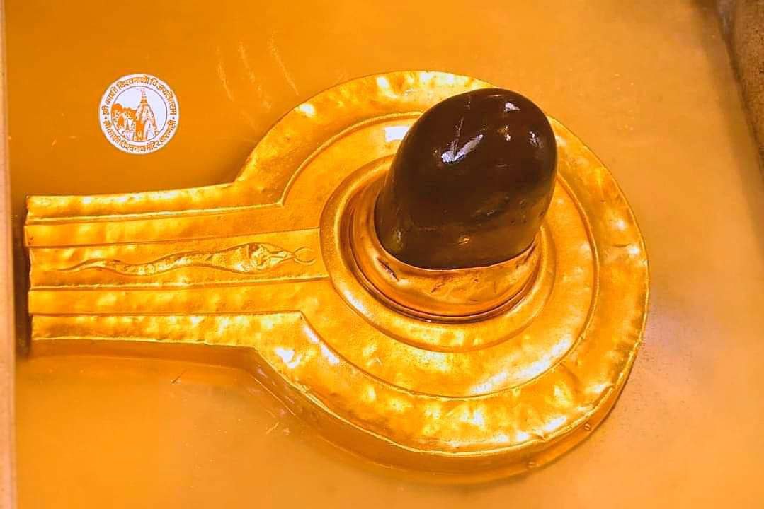 RahulTikariha's tweet photo. जय बाबा काशी विश्वनाथ जी, रूद्राक्ष पुष्प के साथ❤️
@BemetaraDist https://t.co/458CTNl03p