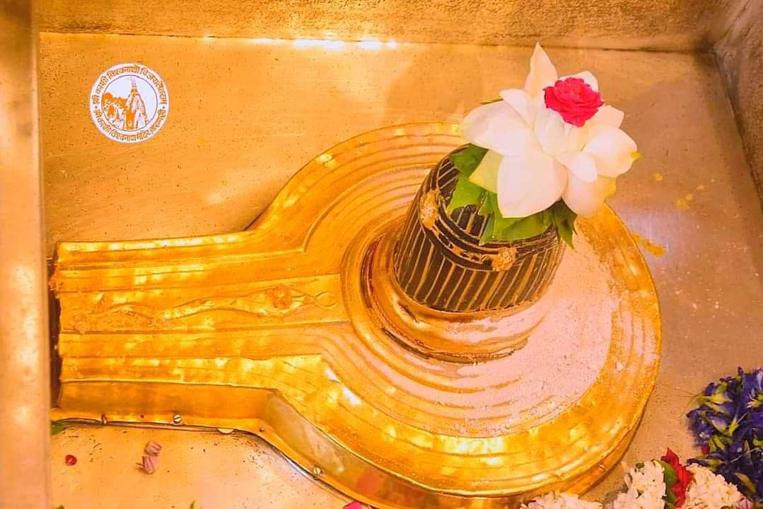 RahulTikariha's tweet photo. जय बाबा काशी विश्वनाथ जी, रूद्राक्ष पुष्प के साथ❤️
@BemetaraDist https://t.co/458CTNl03p