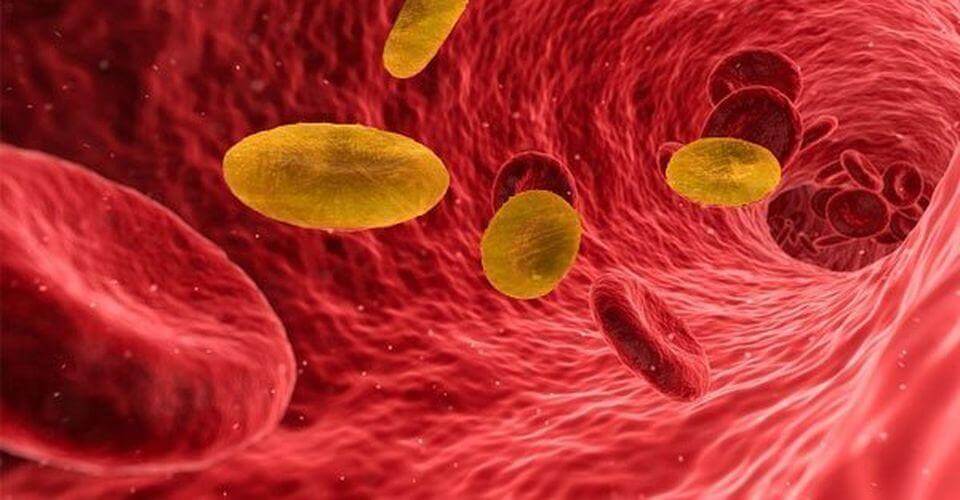 shanghaidaily's tweet photo. A pair of sisters in #Jiangsu Province have recently tested to have #Rhnull blood, one of the rarest and most precious blood types in the world, when one of them went to hospital for the treatment of severe anemia. Rhnull blood is known as golden blood for its rarity. https://t.co/i4uetRPITp