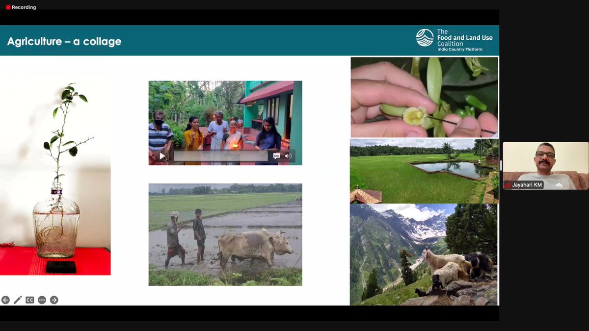 The 8-week India-Australia Virtual Student Exchange Course concluded on 23rd August. The coursewas jointly organised by Western Sydney University, Australia, India Water Centre, University of Lucknow, and CEE as part of its collaboration as Regional Centres of Expertise on ESD.