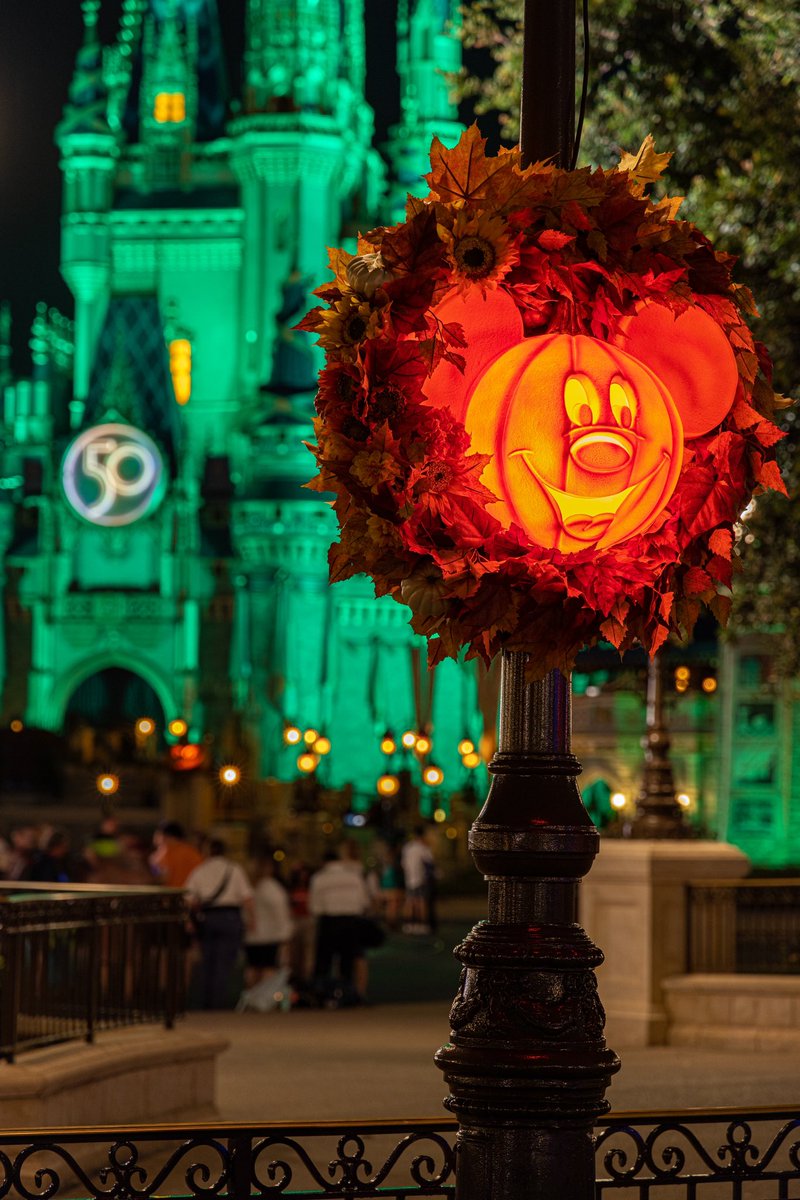 TheMegdalorian's tweet photo. Manifesting Mickey Pumpkins for my house… 🎃🐭 #mickeypumpkins #mnsshp #disneyworld50 #halloween https://t.co/55laVlBzyj