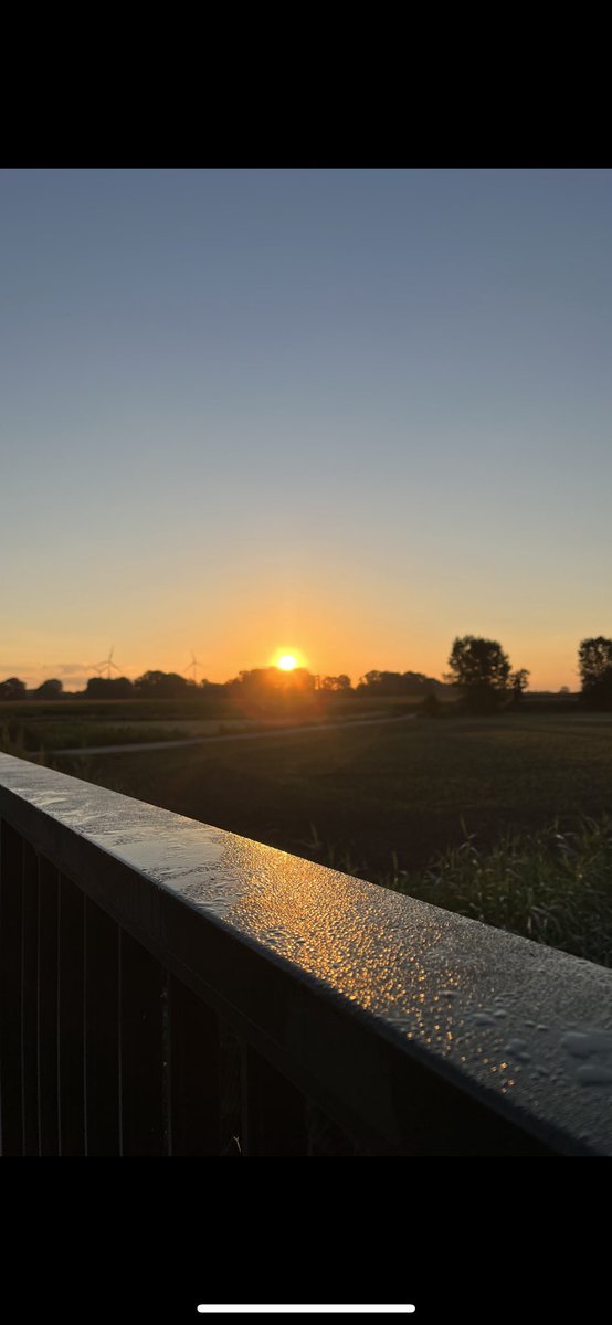 JoergSchepers's tweet photo. Wenn schon kein #Regen, immerhin ein wenig Tau!😩 https://t.co/lIbTzYd2Ru