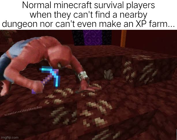 No xp?