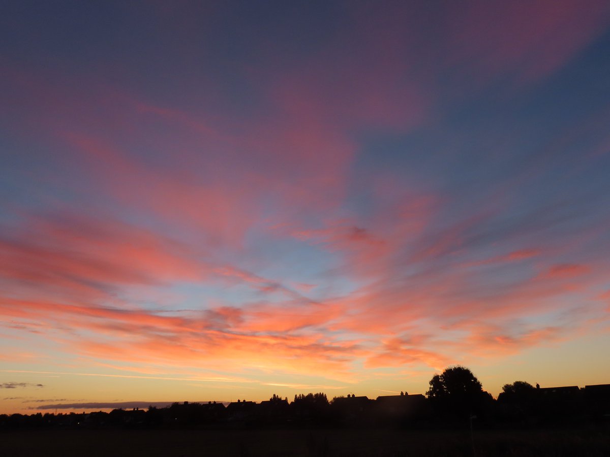 Kevin Bradshaw tweet media