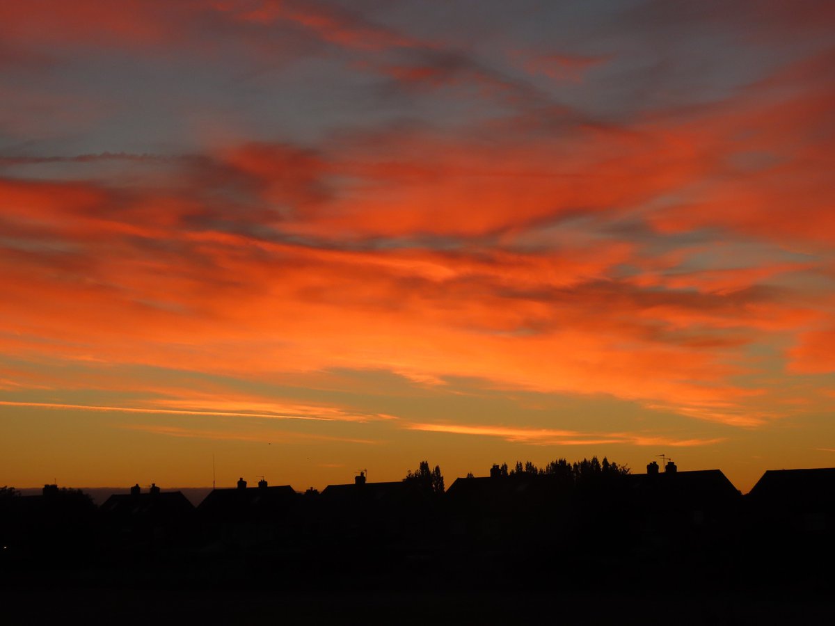 Kevin Bradshaw tweet media