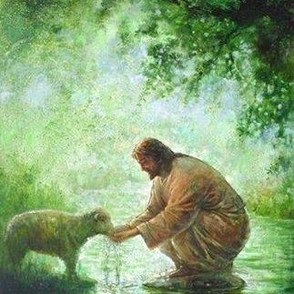 PiyalBotejue's tweet photo. THE LORD is my shepherd; I shall not want. He maketh me to lie down in green pastures: he leadeth me beside the still waters. He restoreth my soul: he leadeth me in the paths of righteousness for his name's sake...(PSALMS 23)
#PSALMS
#TheLordIsMyShepherd
#ApsalmofDavid
#Amen https://t.co/Jxmv9NujBM
