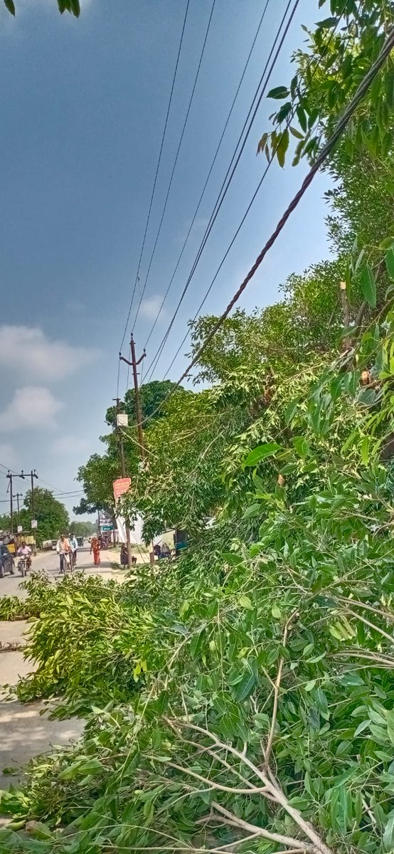 MVVNL_Sdo Spn City tweet media