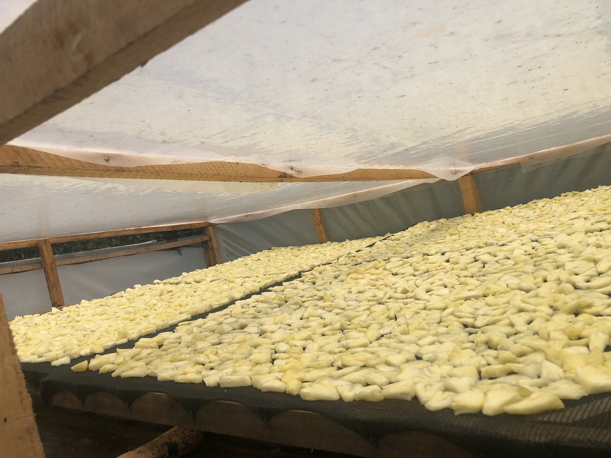 Dealer in Dried fruits