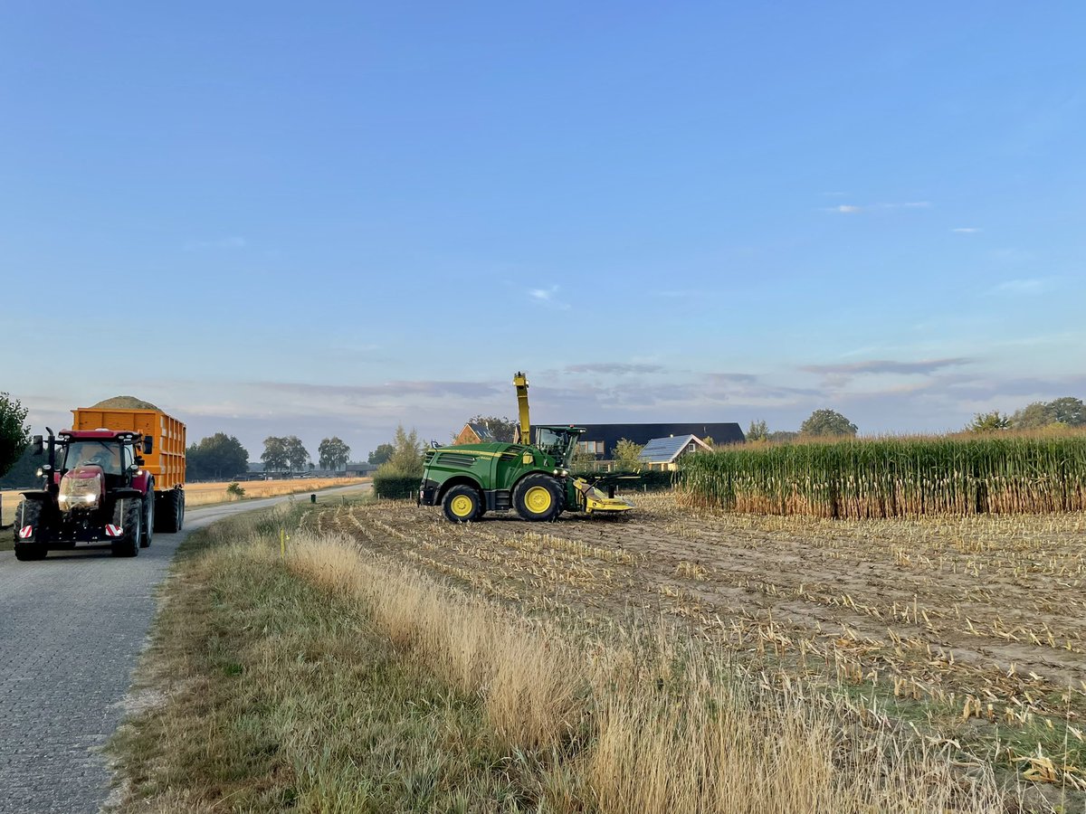 BerryBeing's tweet image. #Wehl #Kleindorp - vroeg dit seizoen - mijn jaarlijkse #maistweet... wakker worden door de hakselaar, paar uurtjes en we hebben ons uitzicht terug #mais #hakselen #JohnDeere8400i