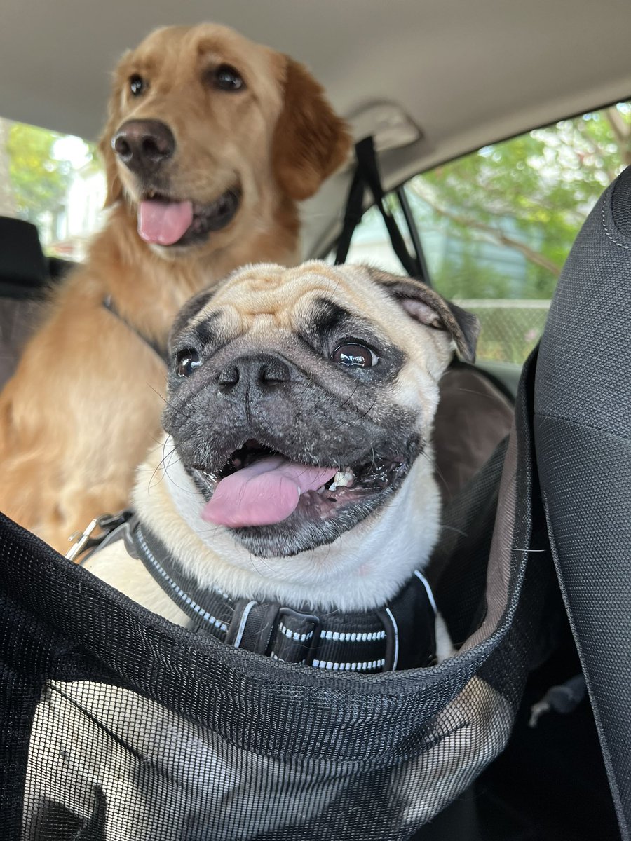 mayrushart tweet media