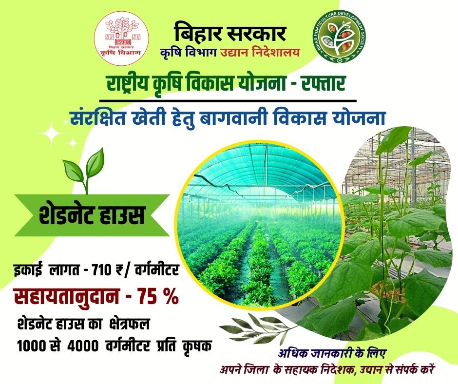 HorticultureBih's tweet photo. "राष्ट्रीय कृषि विकास योजना - रफ्तार अंतर्गत संरक्षित खेती हेतु बागवनी विकास योजना" शेडनेट हाउस स्थापित करने पर बिहार सरकार कृषि विभाग उद्यान निदेशालय किसानों को दे रही 75% की सब्सिडी। 
@Agribih @AgriGoI @_Sudhaker_singh @saravanakr_n
#agricultureBihar #shadenethouse https://t.co/ScaVfEfK4P