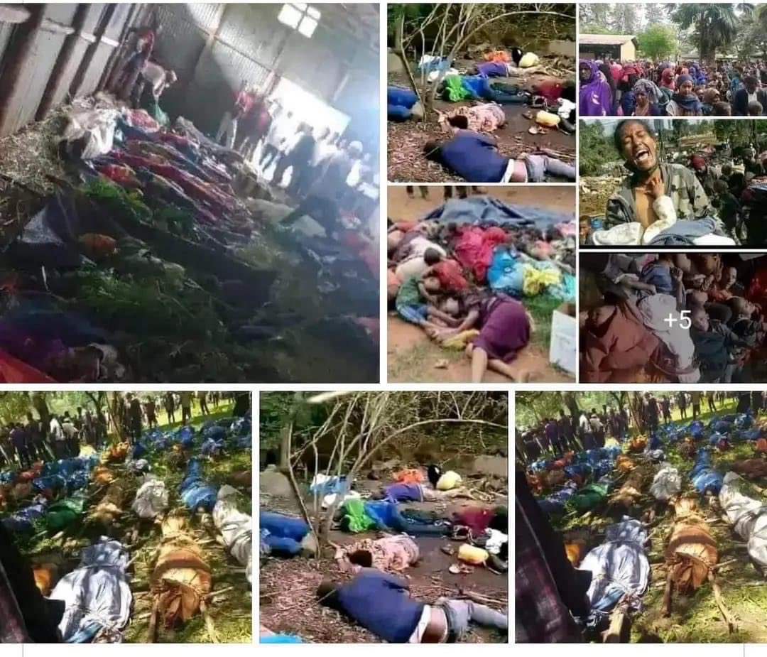 SelassieI24's tweet photo. Warning ⚠️ 

፩,The war should not fall on #Fano's shoulders.

፫, The primary duty of a GoE is to protect its citizens but @AbiyAhmedAli is letting #Amharas defenseless by sabotaging the war.

፪, @AbiyAhmedAli 🛑 this reckless endangerment of our people! 

#StopWarOnAmhara ‼️ https://t.co/lR5tU1PgQK