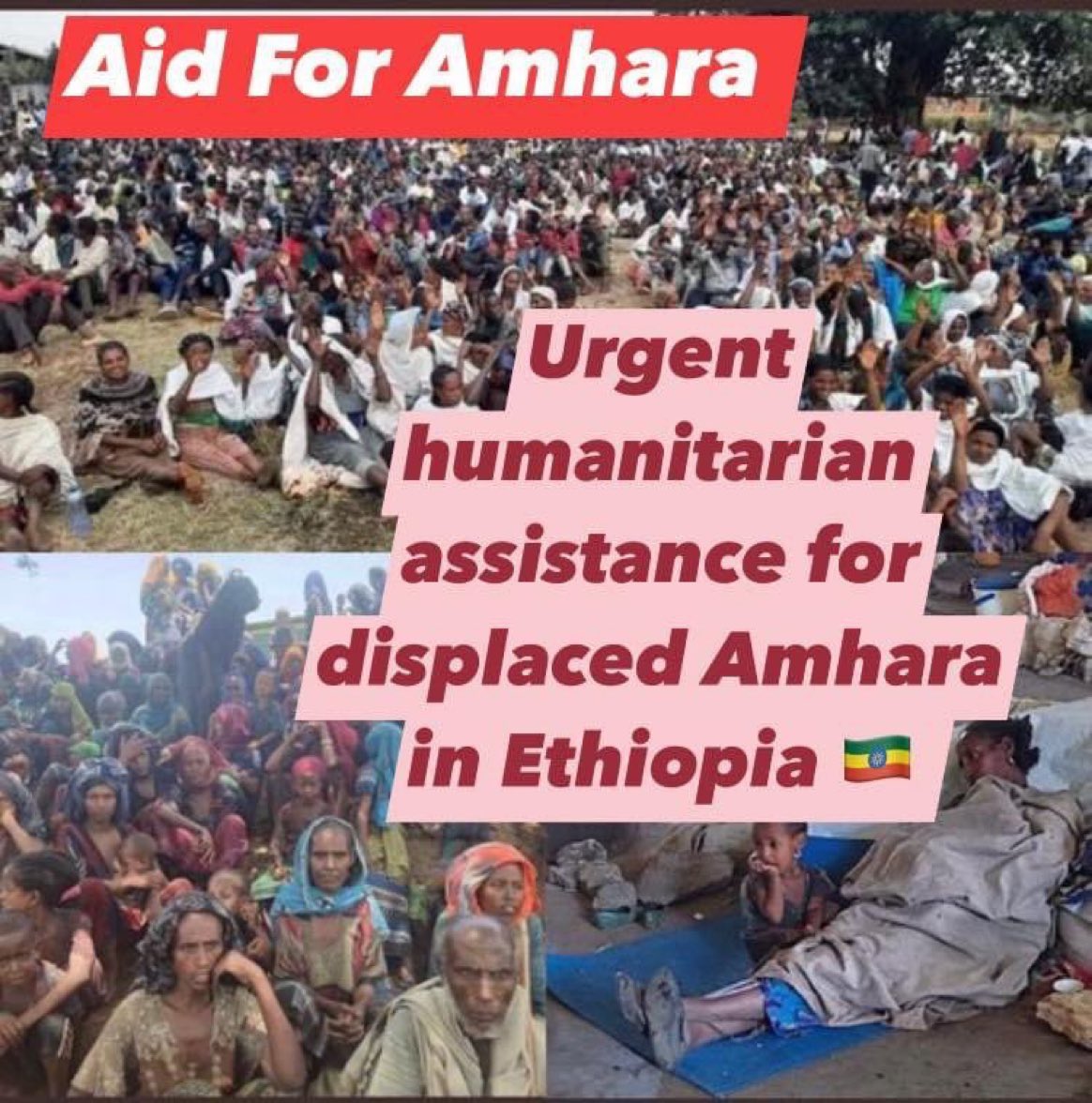 SelassieI24's tweet photo. Warning ⚠️ 

፩,The war should not fall on #Fano's shoulders.

፫, The primary duty of a GoE is to protect its citizens but @AbiyAhmedAli is letting #Amharas defenseless by sabotaging the war.

፪, @AbiyAhmedAli 🛑 this reckless endangerment of our people! 

#StopWarOnAmhara ‼️ https://t.co/lR5tU1PgQK