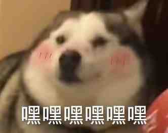 要是我的粉丝一人都给我一块钱
那我不就发财了(•́₃•̀) https://t.co/oIwy2x3YfS