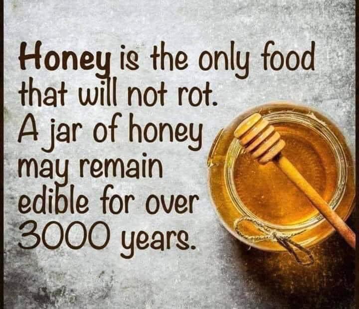 EcoNI37632705's tweet photo. Every little helps #wasteless #sustainable #lowimpact #reducewhatyouproduce #lesswaste #waronwaste #lowwaste #ecofriendly #sustainableliving #wastefreeplanet #reuse #lowimpactmovement #zerowasteliving #ourplanetourhome #wastefree #reusablebag #climatechange #econi #EconTwitter https://t.co/Q2mRAvRwqE