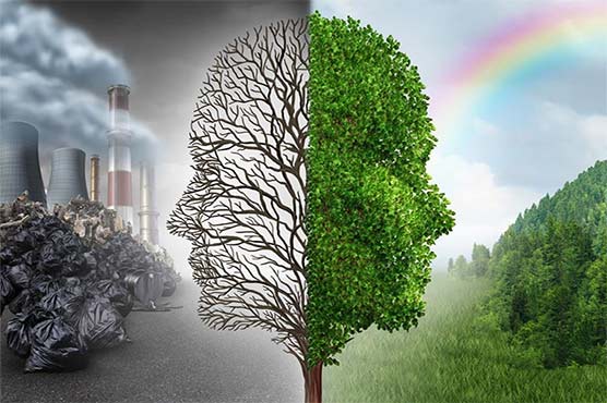 DunyaNews's tweet image. موسمیاتی تبدیلی: خطرات پاکستان کی دہلیز پر #Environment     #environmentalchanges   
#environmentalchallengesforpakistan urdu.dunyanews.tv/index.php/ur/P…