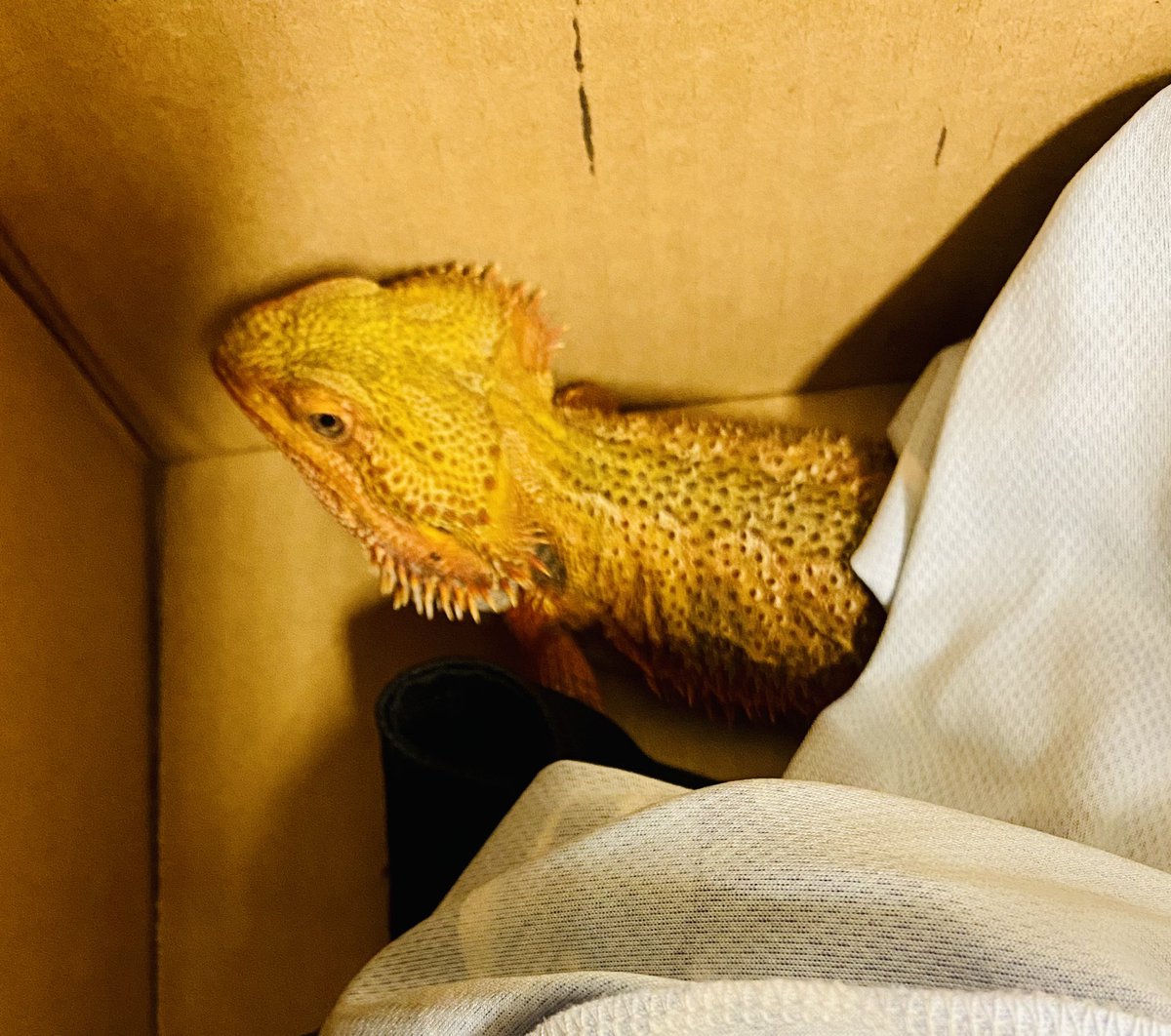 Michele Barnes tweet media