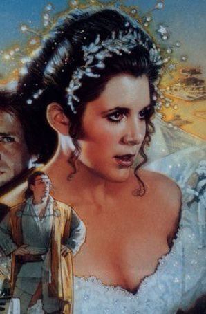 momsyndulla's tweet photo. wow the courtship of princess leia totally isn’t ooc for both characters and totally isn’t a bad book with a bad portrayal of han and leia’s relationship wow definitely not and it’s definitely great bc leia’s wedding dress is white and shows cleavage aha aha https://t.co/OPBKxWCNbj