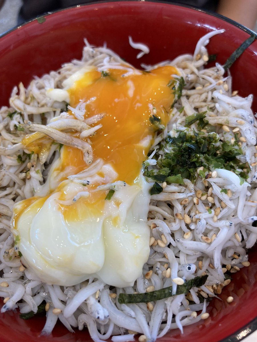 shippo0108's tweet photo. 美味しかった❤️
#ランチ 
#海鮮丼 
#海 https://t.co/fTVlzvn6Db