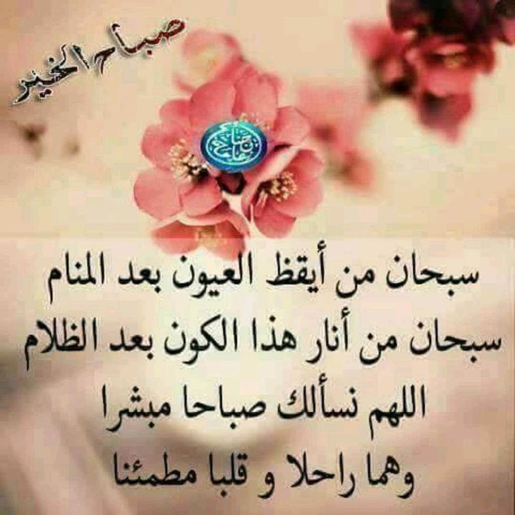 Abdul (@abdul73695938) on Twitter photo 