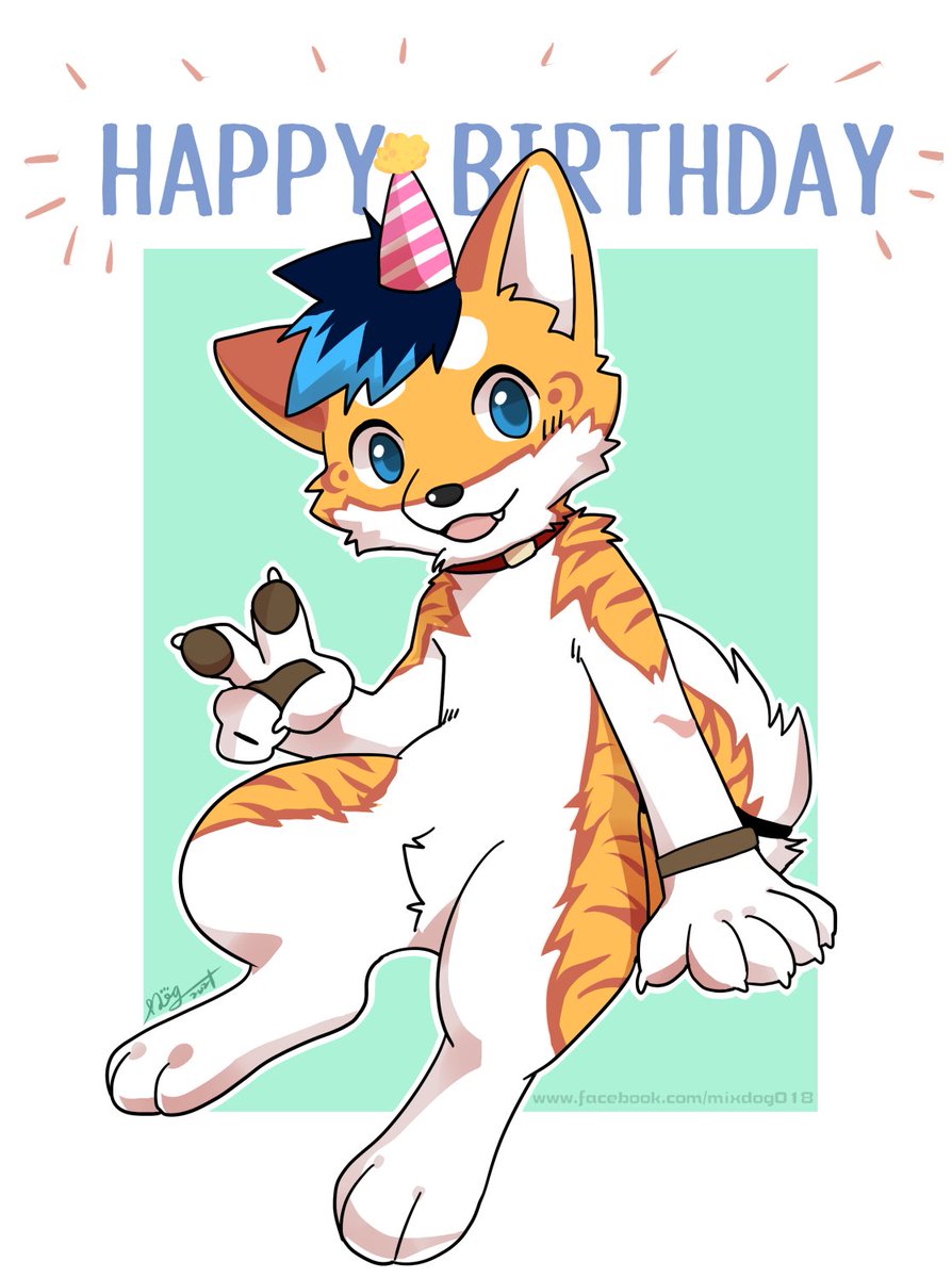 DOG🐾 (?) tweet media