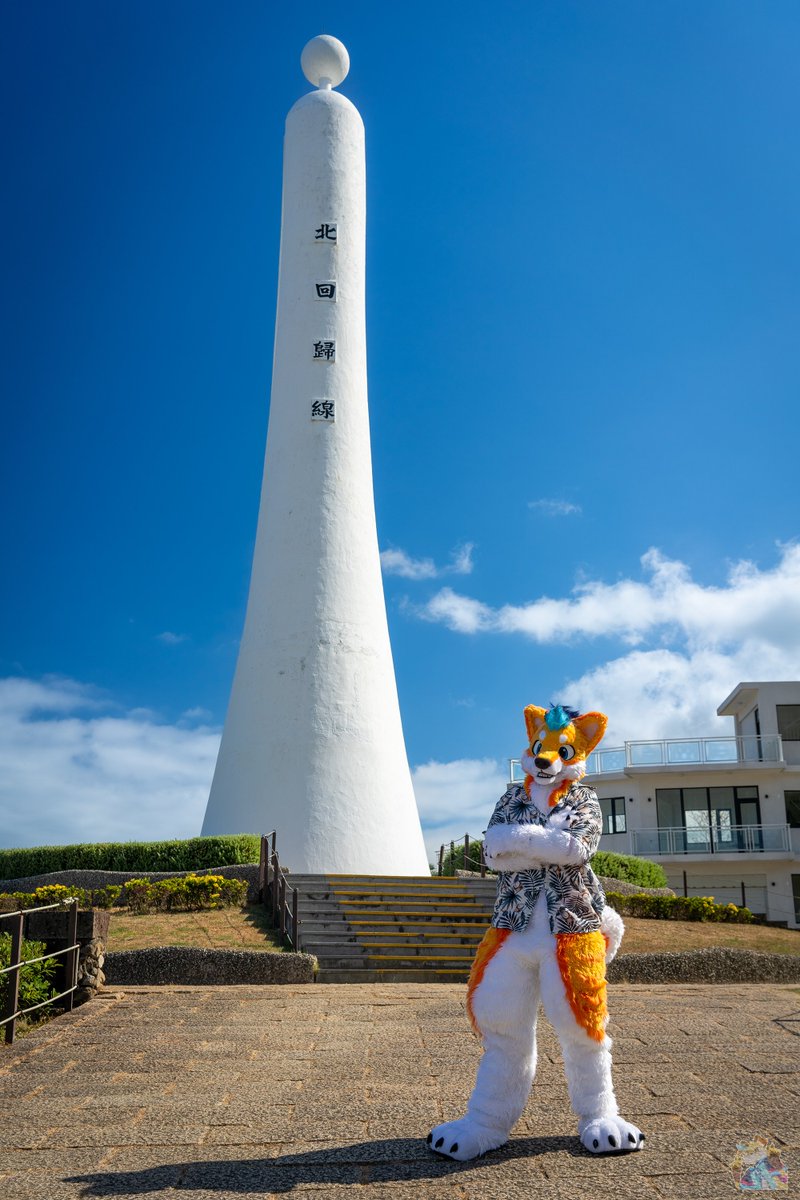 DOG🐾 (?) tweet media