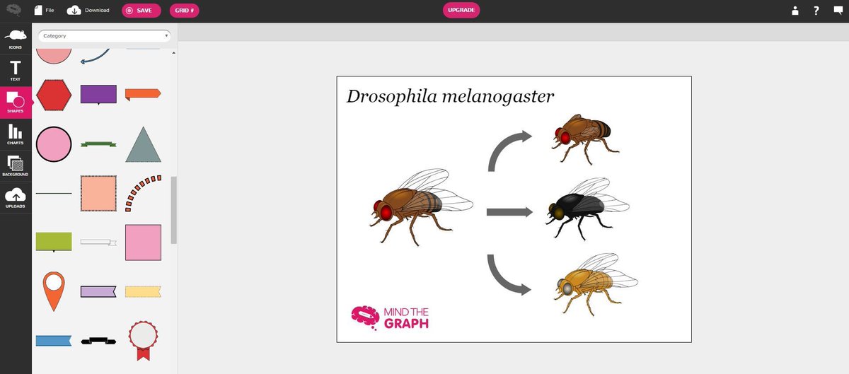 smalkalbani's tweet photo. موقع

https://t.co/8b7GnEx6ff

يتيح لك عمل ملخصات مصورة وانفوجرافيك وخرائط ذهنية للمواضيع والدروس كما بالصور المرفقة.

يحتوي على الكثير من النماذج والصور والاشكال التي تساعدك في الانجاز …

مجاني - ومدفوع https://t.co/NgcgQL0VXF
