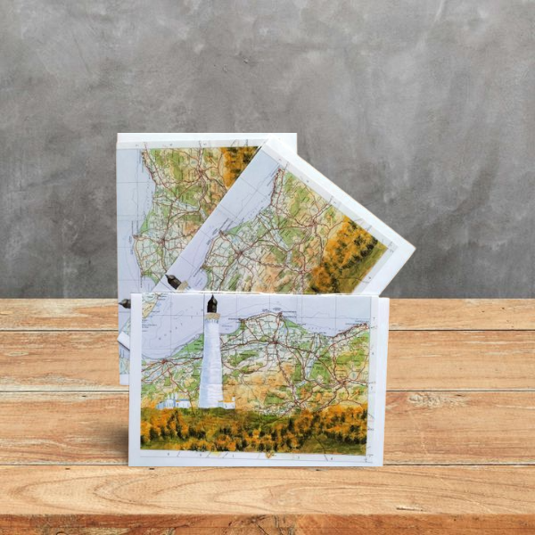 fiona duncan tweet media