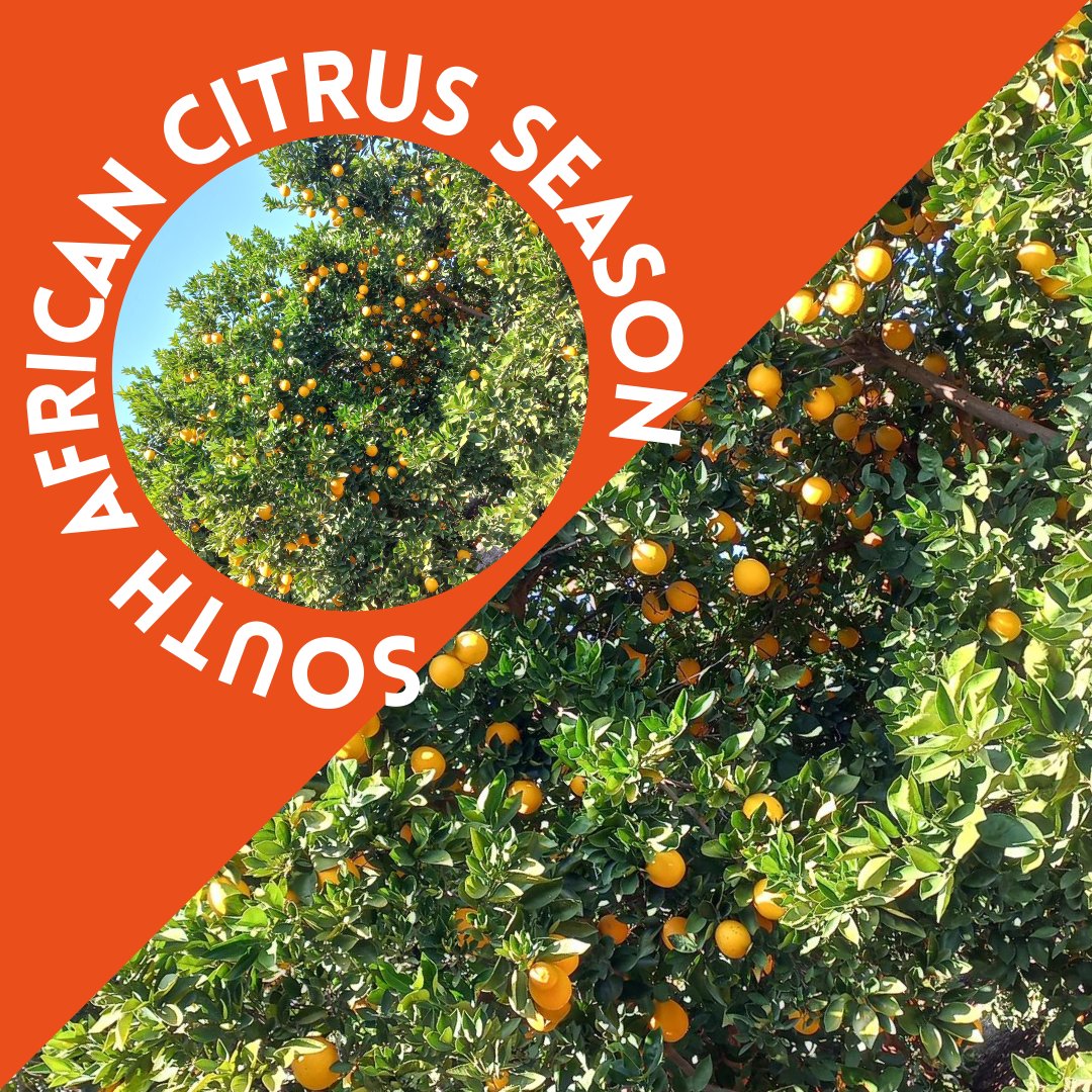 Jupiter Group tweet media