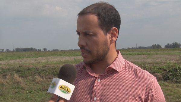 CampoenAccion's tweet photo. Arroceros planean el gran salto para llegar a los 10.000 kilos. Todas las voces de la edición número 33 de la Jornada Nacional de Arroz, en San Salvador.
#FundacionProarroz #Aianaer #CIASS
https://t.co/Wj73B9Ar7x https://t.co/dOSfH2gCTO