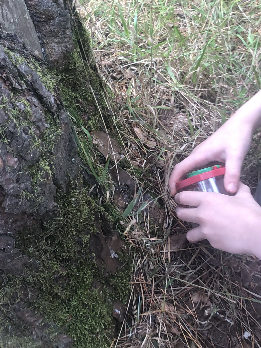 LearningLog1's tweet image. #LGPAScience @laceygreenpa It’s been a summer spent exploring nature, learning about different animals and their habitats.